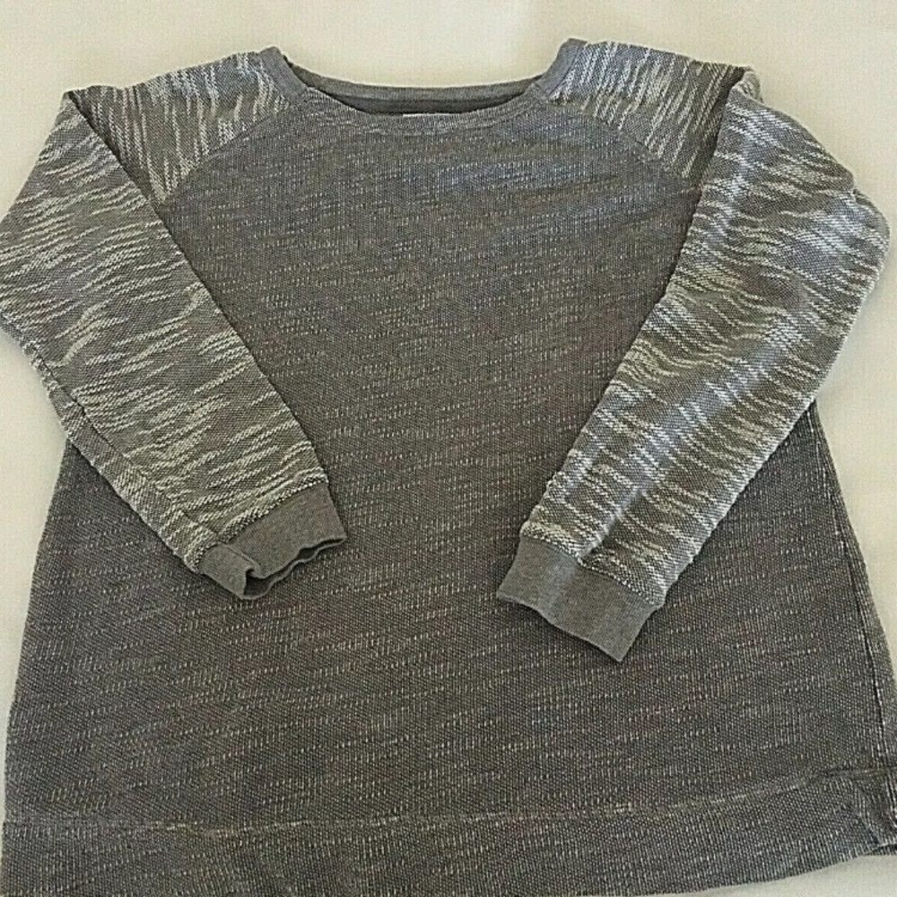 Champion Space Dyed Raglan Sweatshirt
